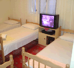 Hostel Miran