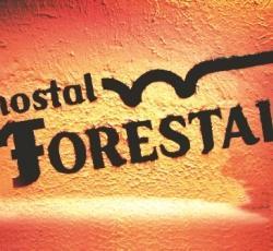 Hostal Forestal