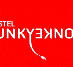 Funky Donkey Hostel