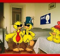 Hostel Two Ducks