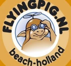 Flying Pig Beach Hostel In Amsterdam Netherlands Book Hostel Online