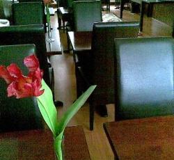 Hotel Flipper picture