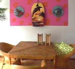 The Greenhouse Effect Hostel picture