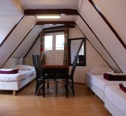The White Tulip Hostel picture