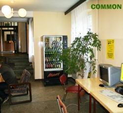 Dizzy Daisy Hostel Poznan picture