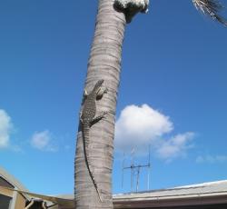Base Camp Backpackers Fraser Island
