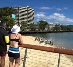 Koala Beach Resort Cairns