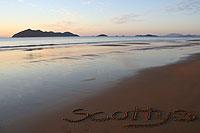 Scotty's Beach House