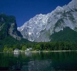 The Treehouse Backpackers Hotel