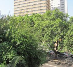 Okupe Hostel Jardins