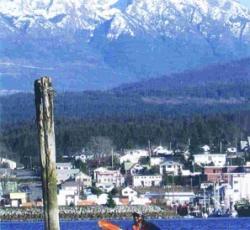 Tsunami Backpackers Guesthouse - Port Alberni