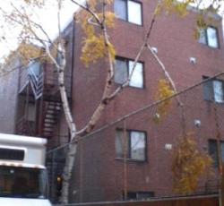 University Apartment