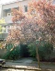 Marilú s Bed and Breakfast