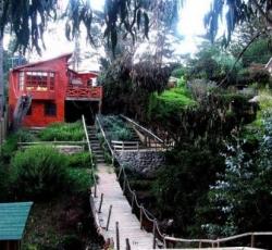 The Poets Madness Hostel