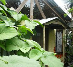 Cabinas Tina's Casitas