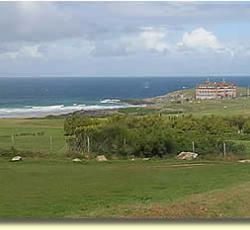 Fistral View