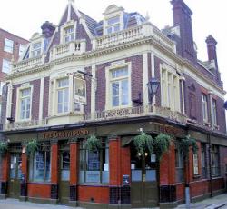 The Monkeys In The Trees