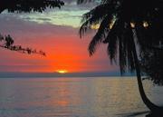 Funky Fish Beach Resort