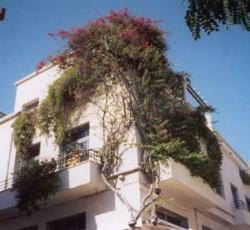 Student and Travellers Inn