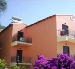 The Comfy Hostel and Studios