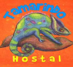 Tamarindo Hostel