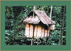 Canaanvalley Homestay