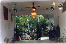 Hotel Peacock Holiday Resort