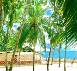 Summer House Holiday Home