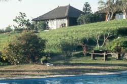 Bali Wisata Bungalows