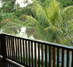 Jati Home Stay and Gallery