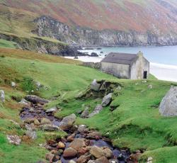 Cashel Town Bed & Breakfast