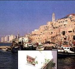 Old Jaffa Hostel and Guest House