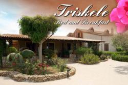B&B Triskele