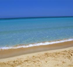 Bed Breakfast Belvedere