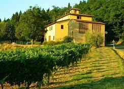 Casa Chianti