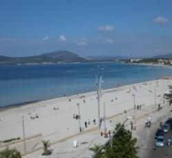 Edera Giglio in Alghero