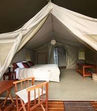 Wildebeest Camp