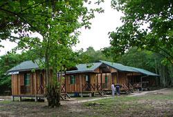 Nature Lodge Kinabatangan