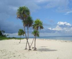 Beachouse Hostel Cozumel