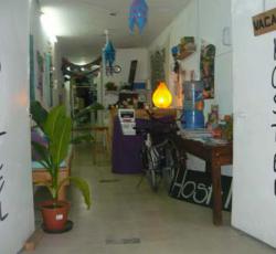 White Elephant Hostel