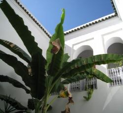 Riad Kabouli a Marrakech