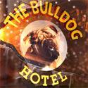 The Bulldog Hostel