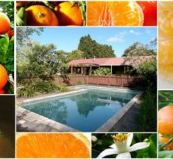 Kerikeri Farm Hostel