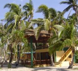 Ivy's Vine Lodge Inc.