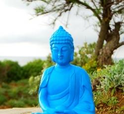 Blue Buddha New Hostel