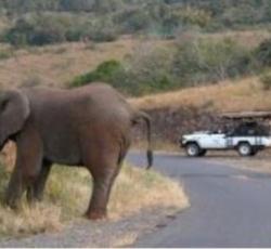 Hluhluwe Backpackers