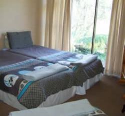 Jungle Monkey Backpackers