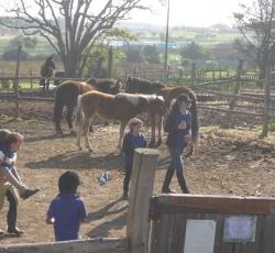 Riverlodge Backpackers