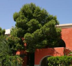 Es Baulo Petit Hotel