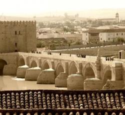 Hostal EL Triunfo SL